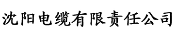 亚洲三级天堂电缆厂logo